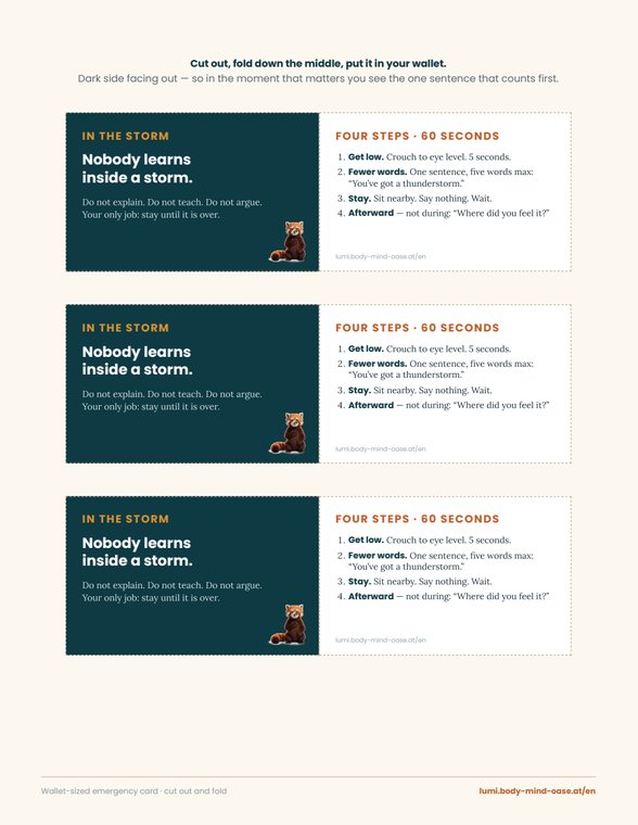 Preview: three wallet-sized emergency cards on one sheet